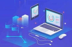 什么样的电商小程序应用量大？