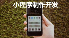 小程序制作开发商怎么选？