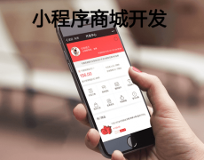 小程序商城开发步骤有哪些？